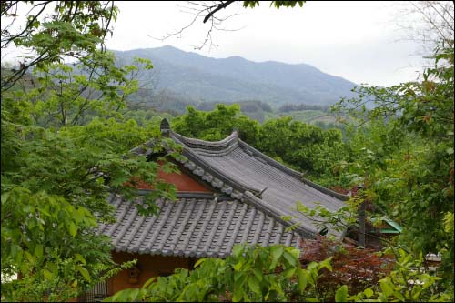 산속 깊은 곳 구수골엔 하루 종일 물소리가 졸졸거렸다. 